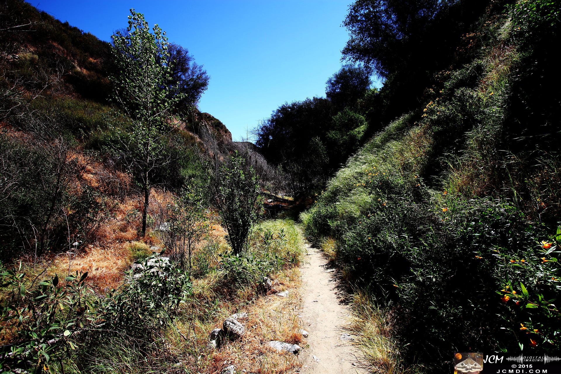 Whitney Canyon Hike canyon bottom